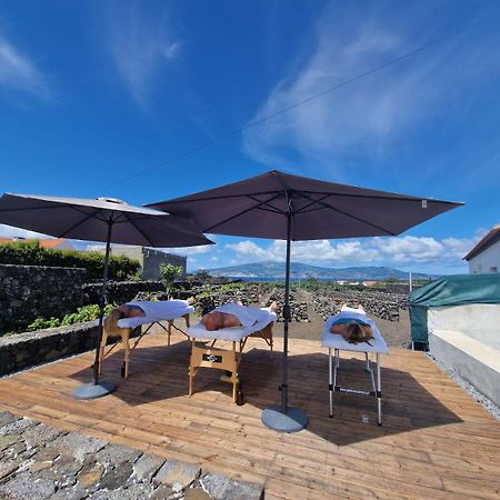 Vila As Casas Da Vinha Criacao Velha Exteriér fotografie