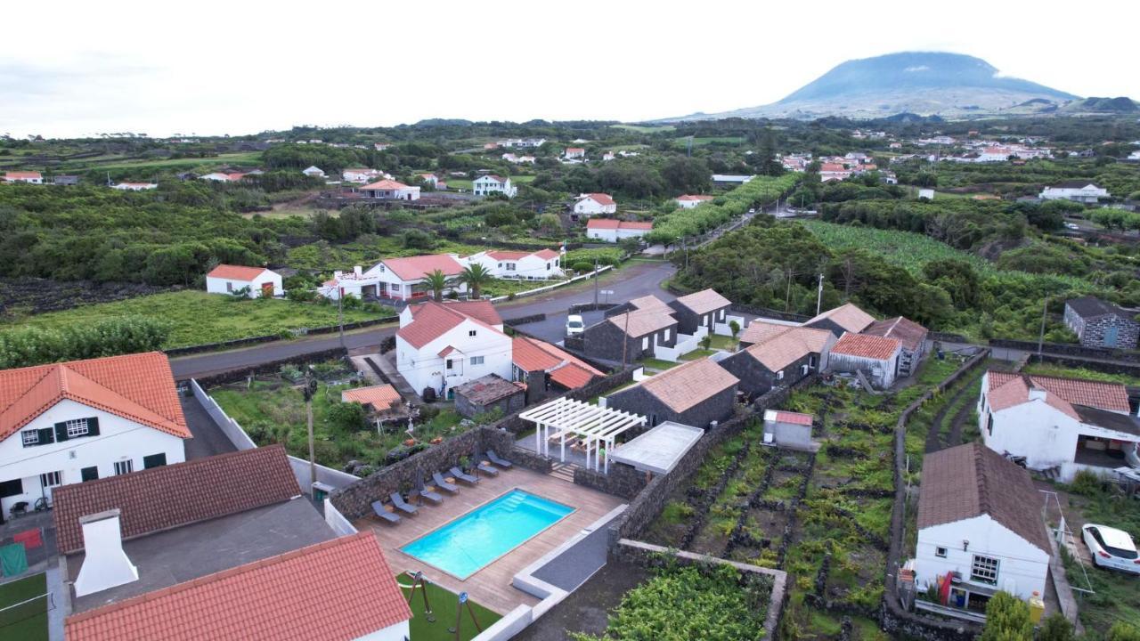 Vila As Casas Da Vinha Criacao Velha Exteriér fotografie