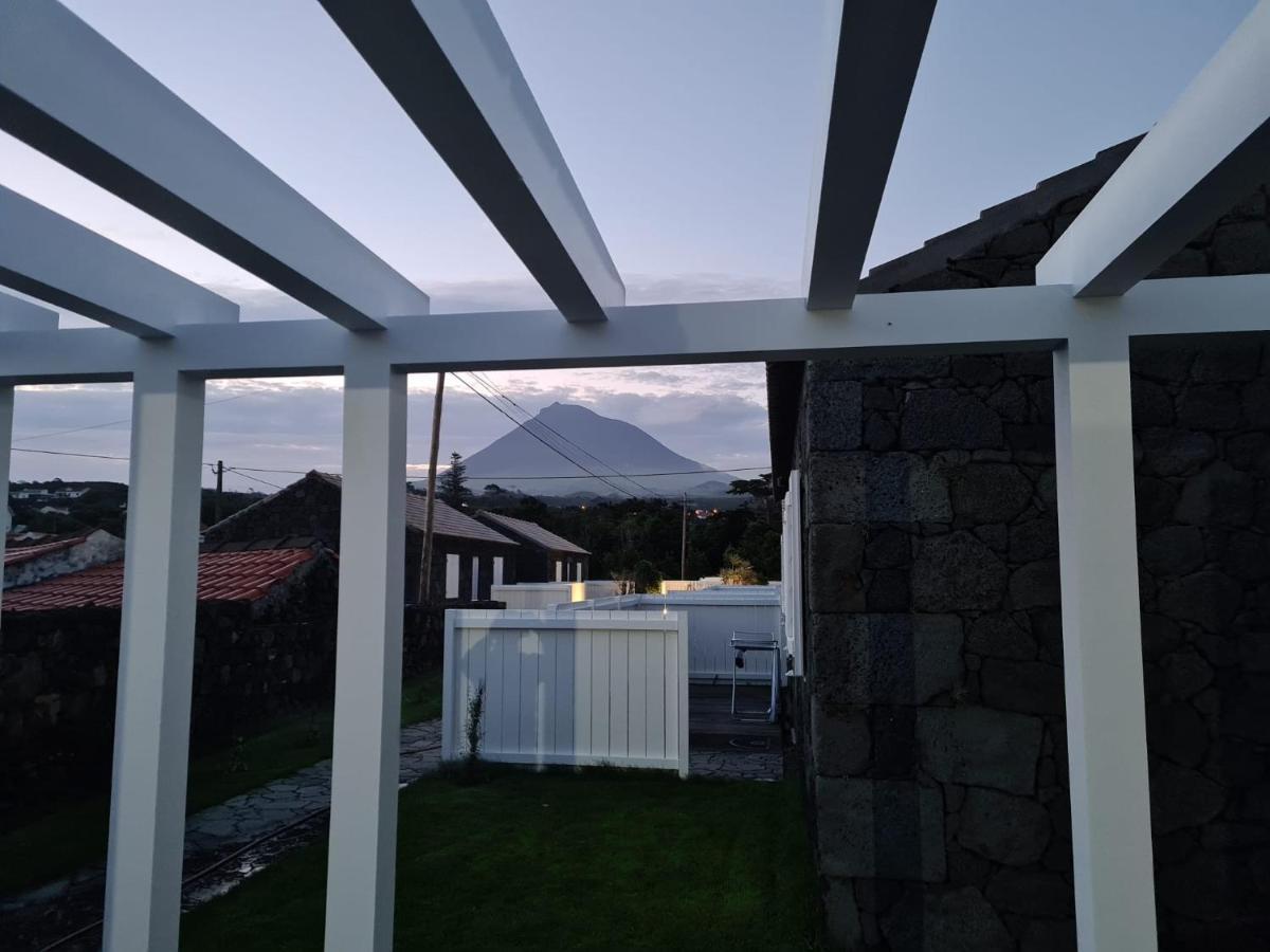 Vila As Casas Da Vinha Criacao Velha Exteriér fotografie