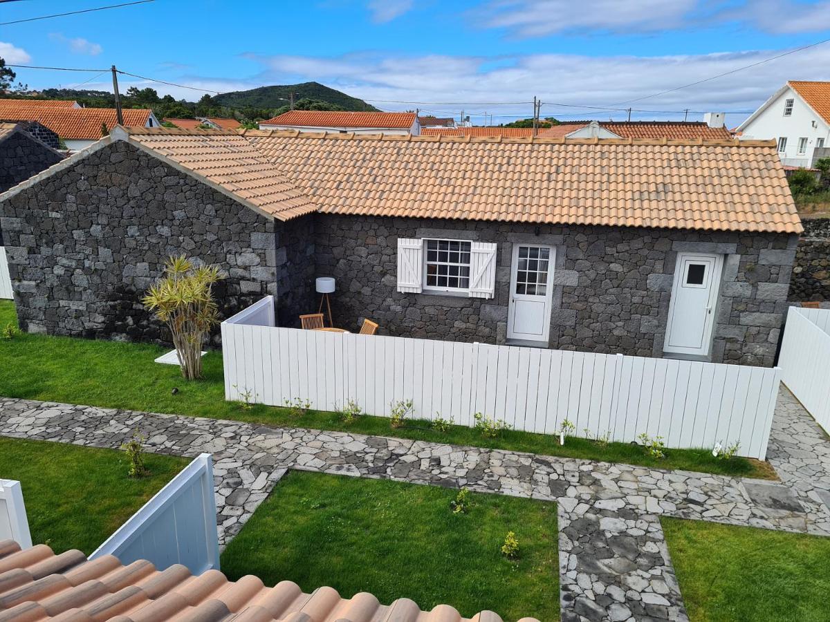 Vila As Casas Da Vinha Criacao Velha Exteriér fotografie