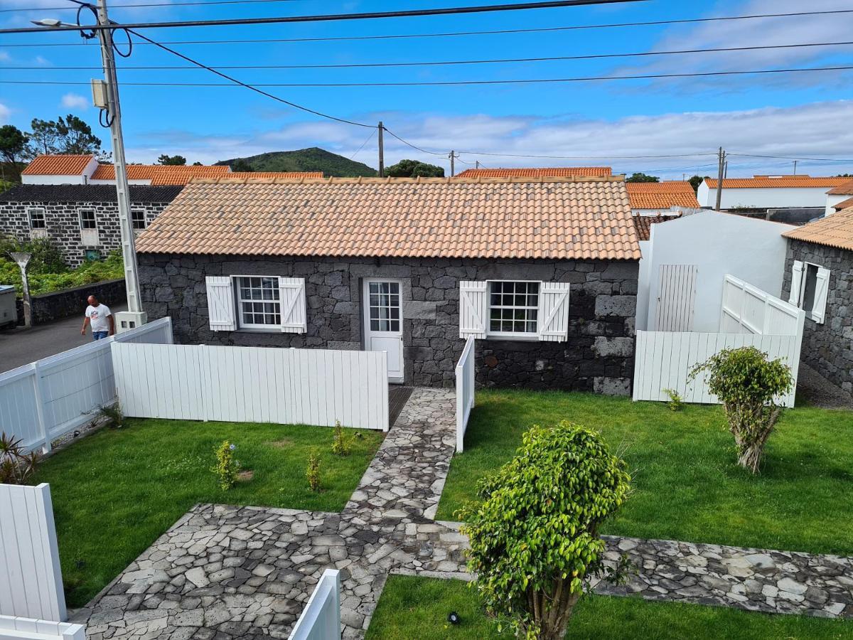 Vila As Casas Da Vinha Criacao Velha Exteriér fotografie